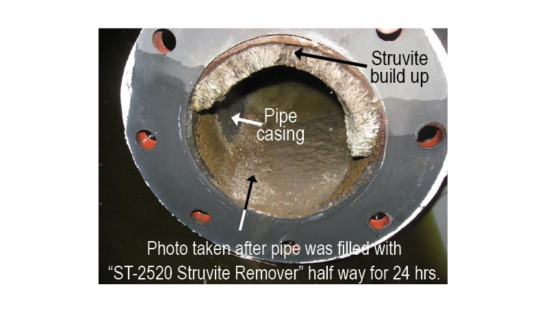 Struvgone Struvite Removal Liquid